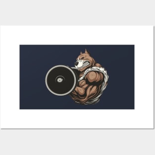 pitgains Posters and Art